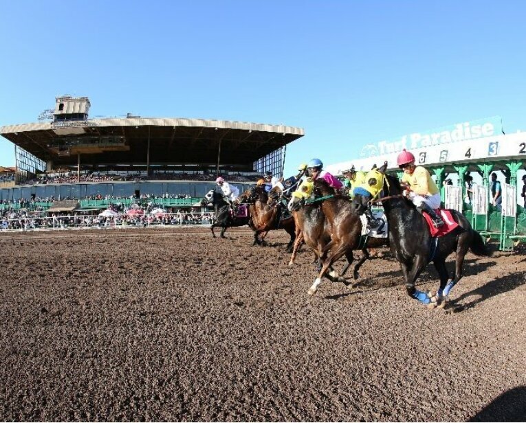Turf Paradise live racing up in the air Daily Independent